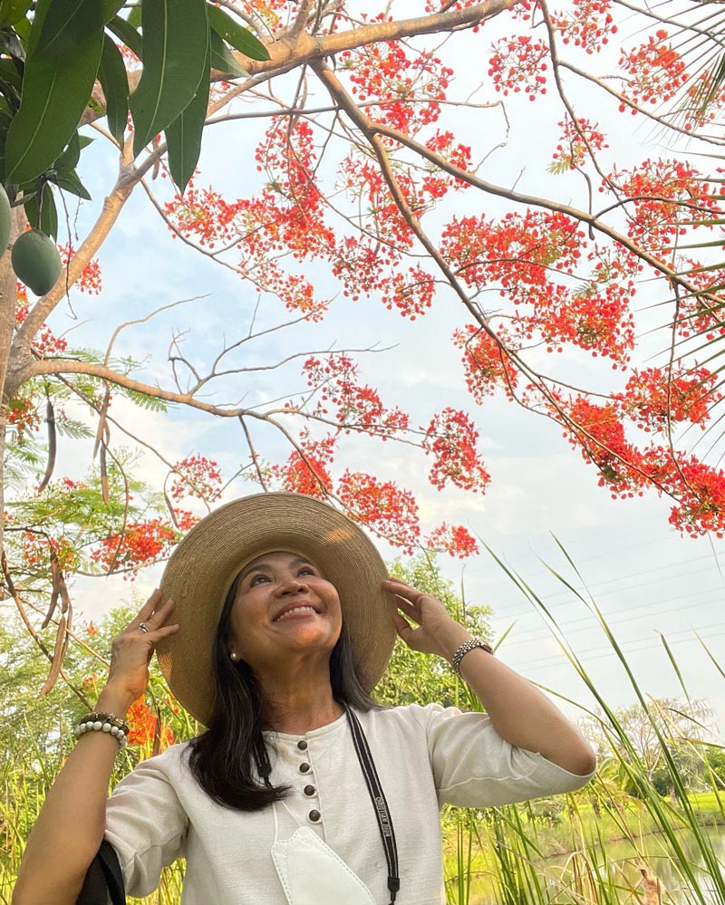 แม่แก้ว