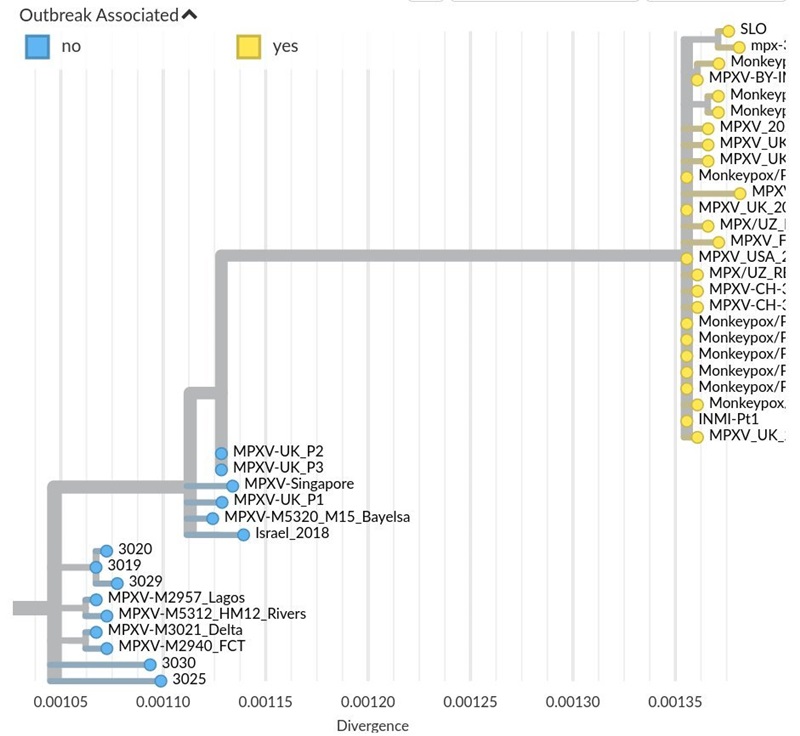 ฝีดาษลิง