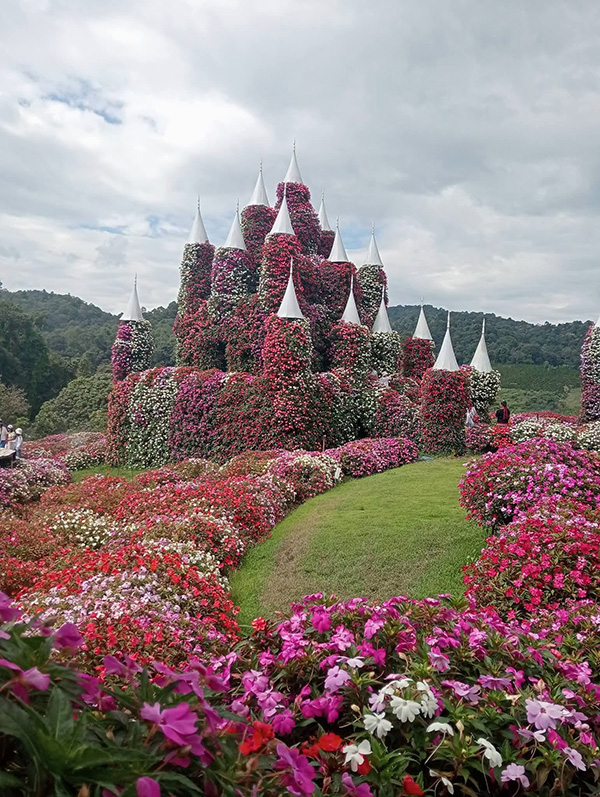 สวนดอกไม้ เชียงใหม่ 2569