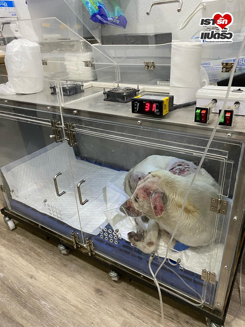 จ๊ะ อาร์สยาม ท่อก๊าซระเบิดบางบ่อ