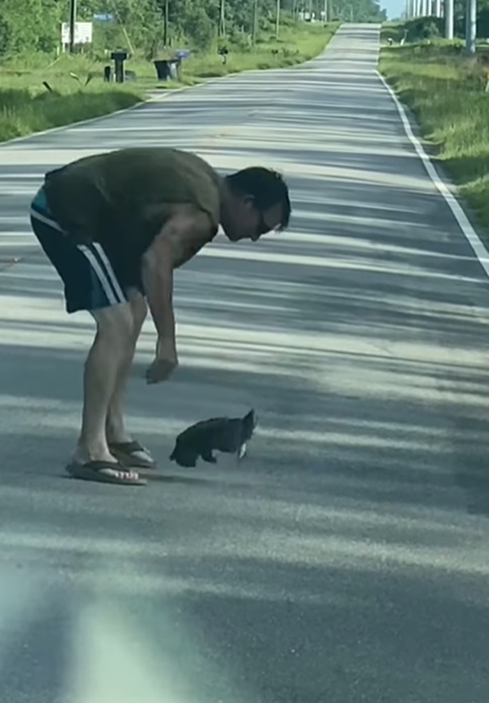 ช่วยเต่า