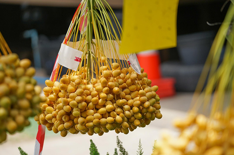 สวนอินทผลัม เดลิเวอรี่