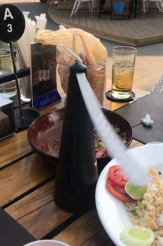 เครื่องไล่แมลงวัน