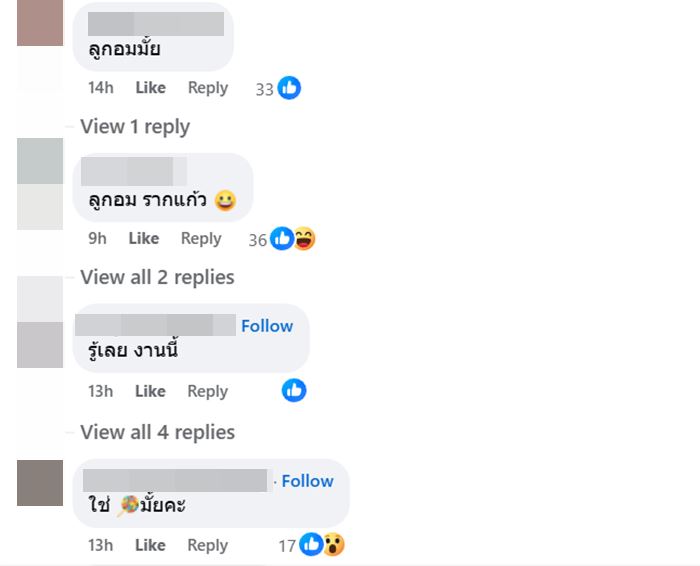 นักร้องลูกทุ่งขายแบรนด์เนมปลอม 