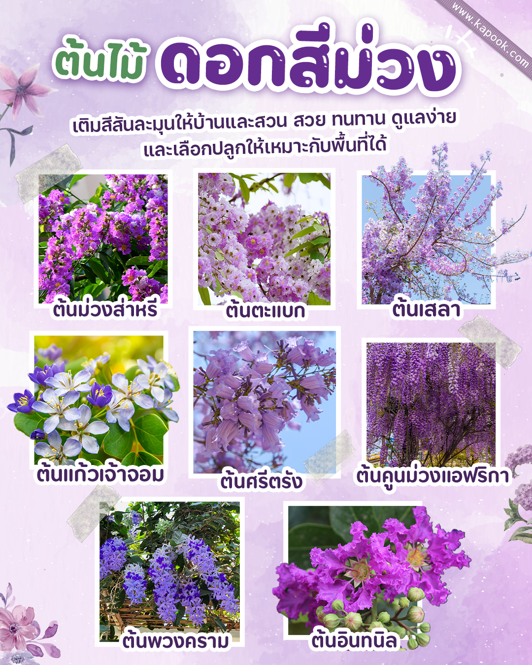 ต้นไม้ดอกสีม่วง