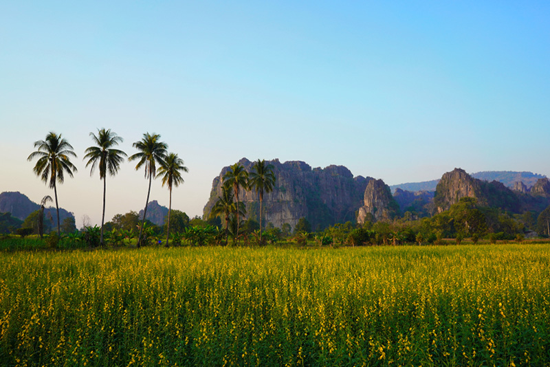 สถานที่ถ่ายทำ The Creator