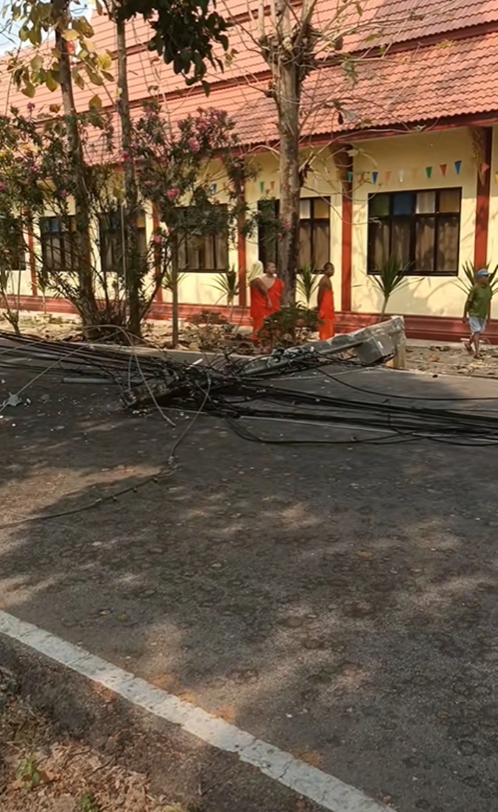 ตัดต้นตาล