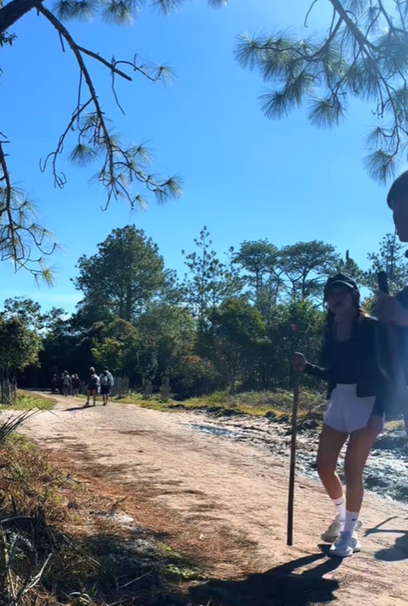 เดินป่า