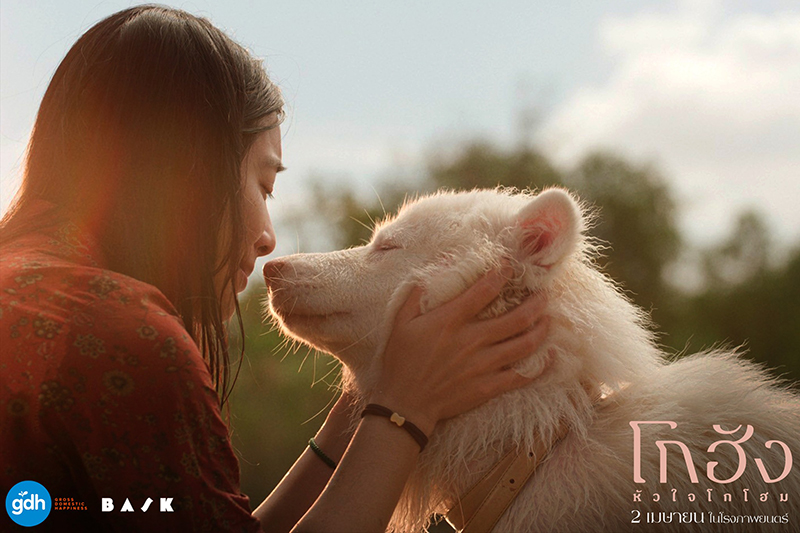 หนัง โกฮัง หัวใจโกโฮม หนังเกี่ยวกับสุนัข หนังใหม่ GDH 2569