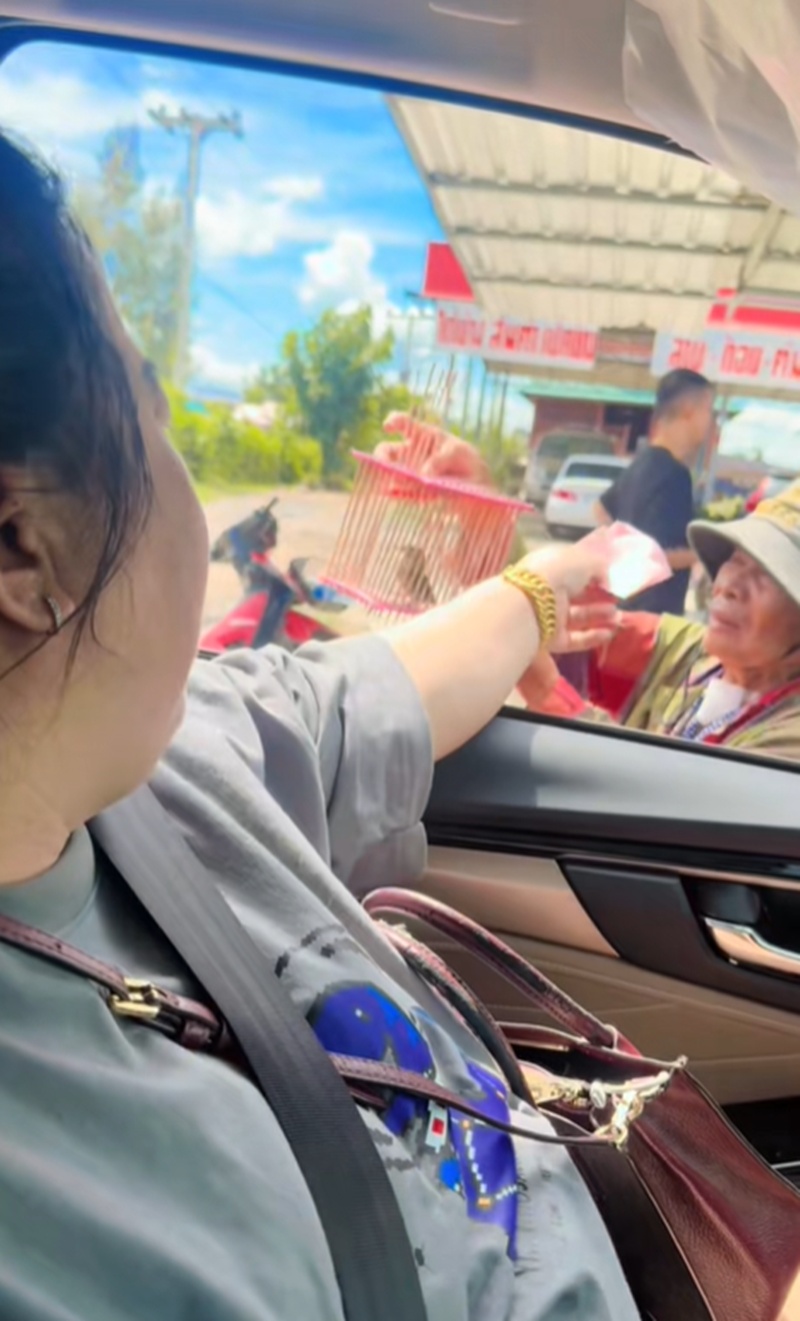 ปล่อยนก