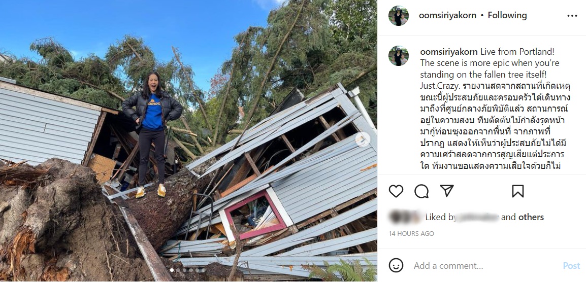 ต้นไม้ถล่มทับหลังบ้าน