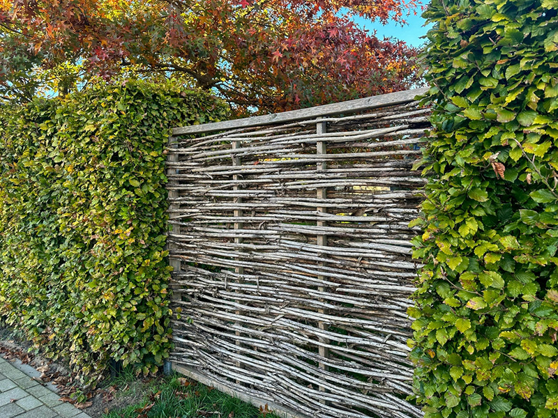 ไอเดียรั้วต้นไม้ Wicker Willow Eco Fence and Dense Beech Hedge