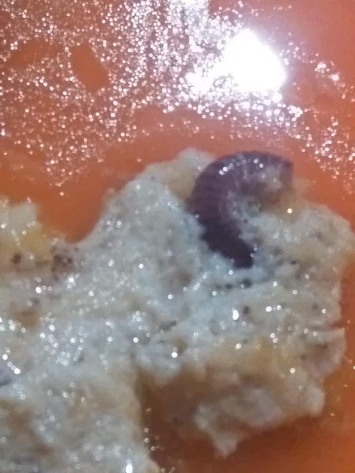 ปิ้งย่าง