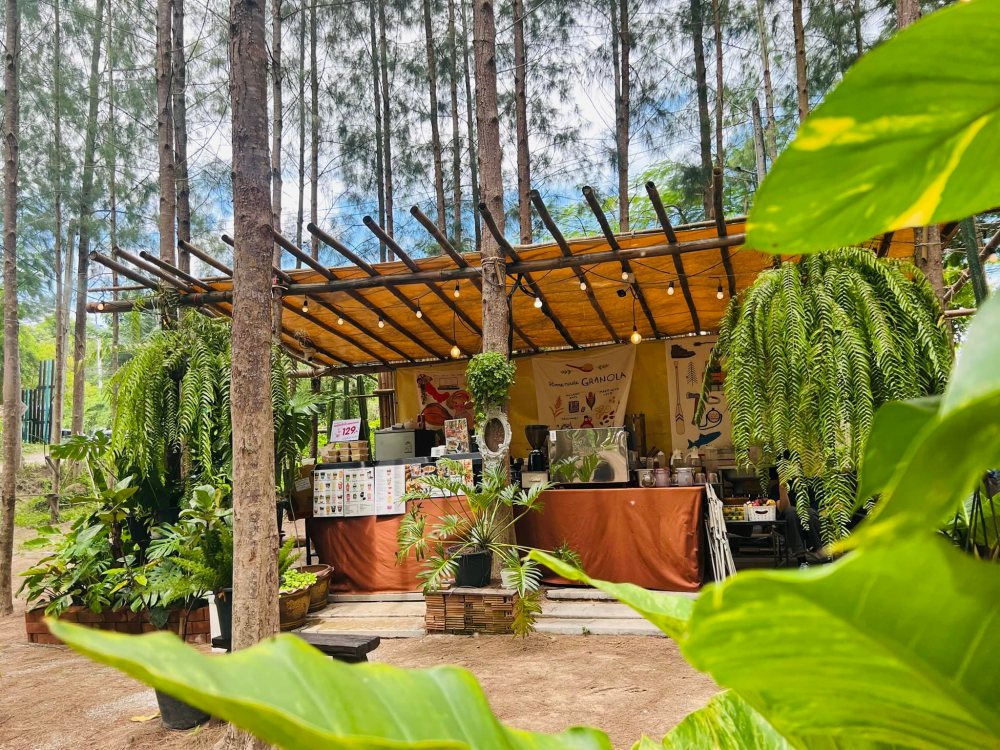 Phupha Coffee Camp ราชบุรี บรรยากาศร้าน