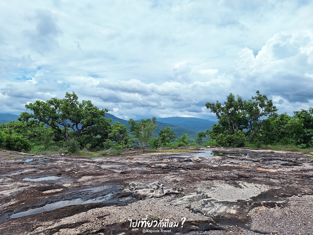 ผาโสก อุทยานแห่งชาติผาแต้ม