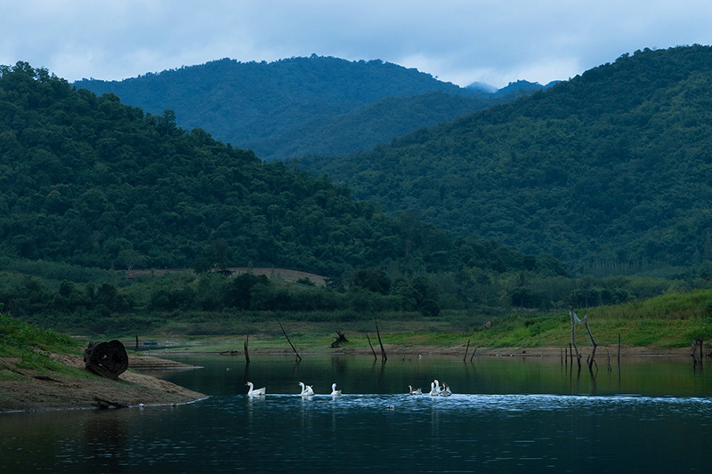 ที่เที่ยวบ้านคา ราชบุรี ภูผาป่าสน
