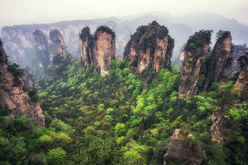 จางเจียเจี้ย จีน