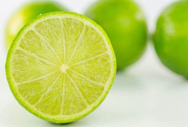 วิธีเก็บอาหาร