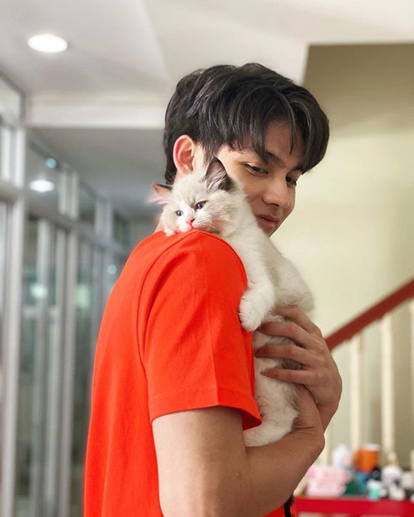 สัตว์เลี้ยงดารา