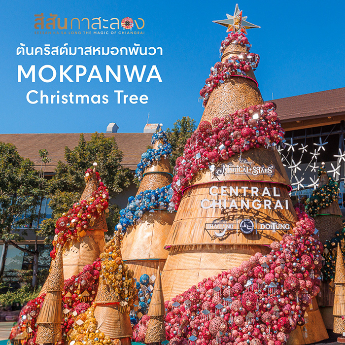 ไฟคริสต์มาส ปีใหม่ 2025-2026 