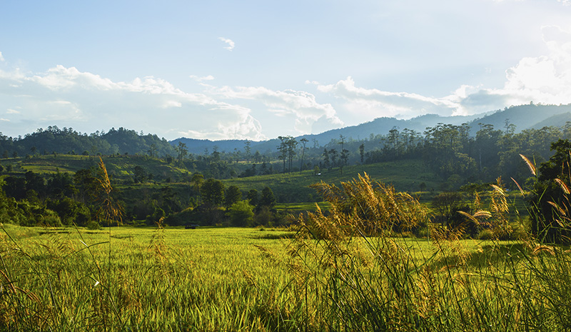 อำเภอเวียงแหง