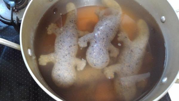 ซาลาแมนเดอร์