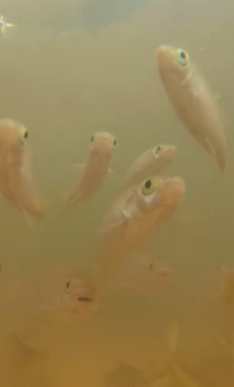 นักท่องเที่ยว