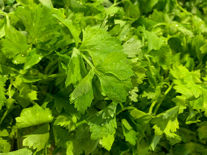 อาหารลดบวม