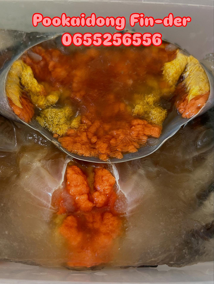 ร้านปูไข่ดอง เดลิเวอรี่