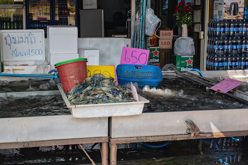 ตลาดกลางอยุธยา