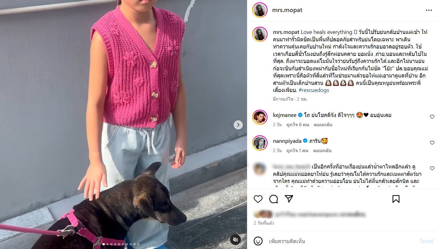 น้องย่น หมาตาบอด