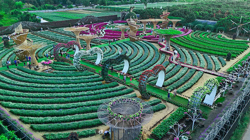 สวนเมเปิ้ล กาญจนบุรี 2568