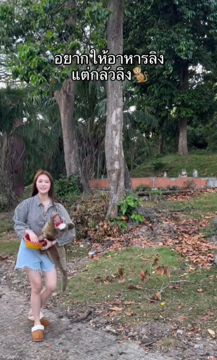 ให้อาหารลิง