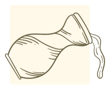 สีเล็บเสริมดวง