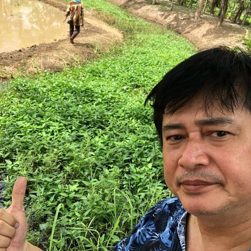 หนุ่ม สันติสุข