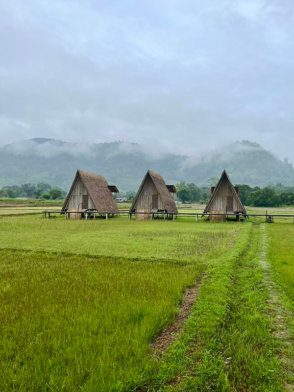 เขา เคียง นา ที่พักวิวทุ่งนา 2569