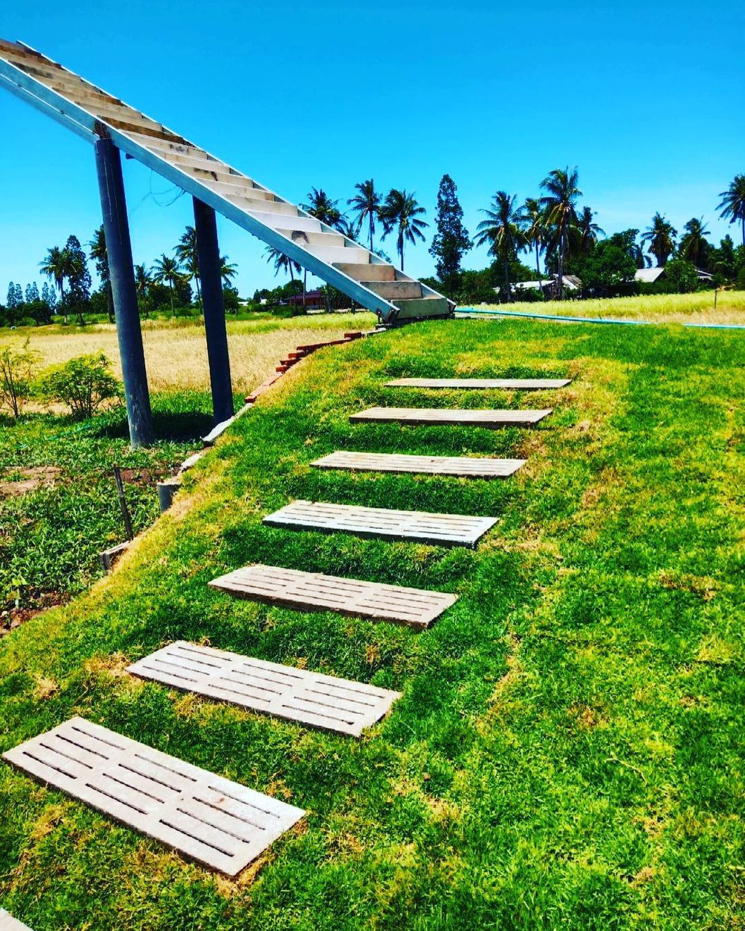 จตุรงค์ มกจ๊ก