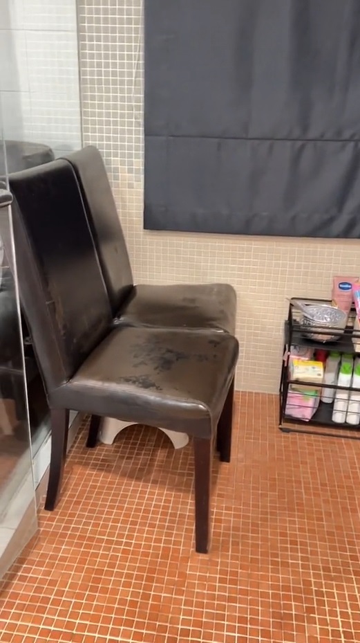  เจนิส เจณิสตา