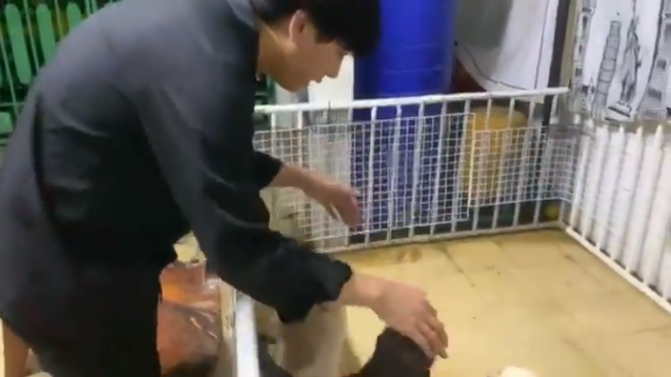 นัท โซลติส 