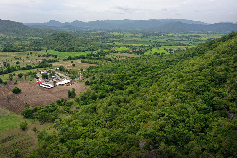 ปลูกป่า ปตท.