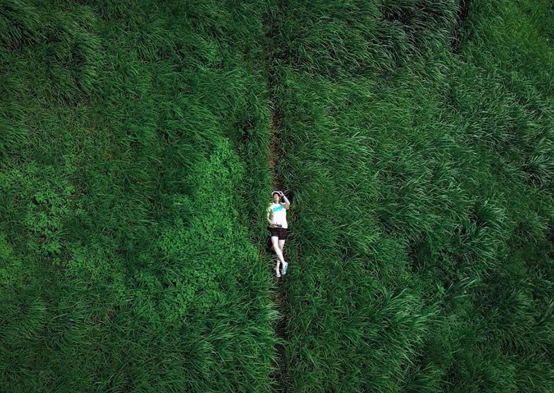 ทุ่งดอกไฮเดรนเยีย