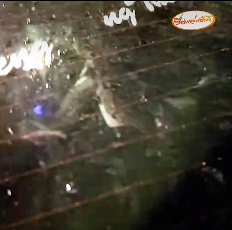 ใบเตย อาร์สยาม