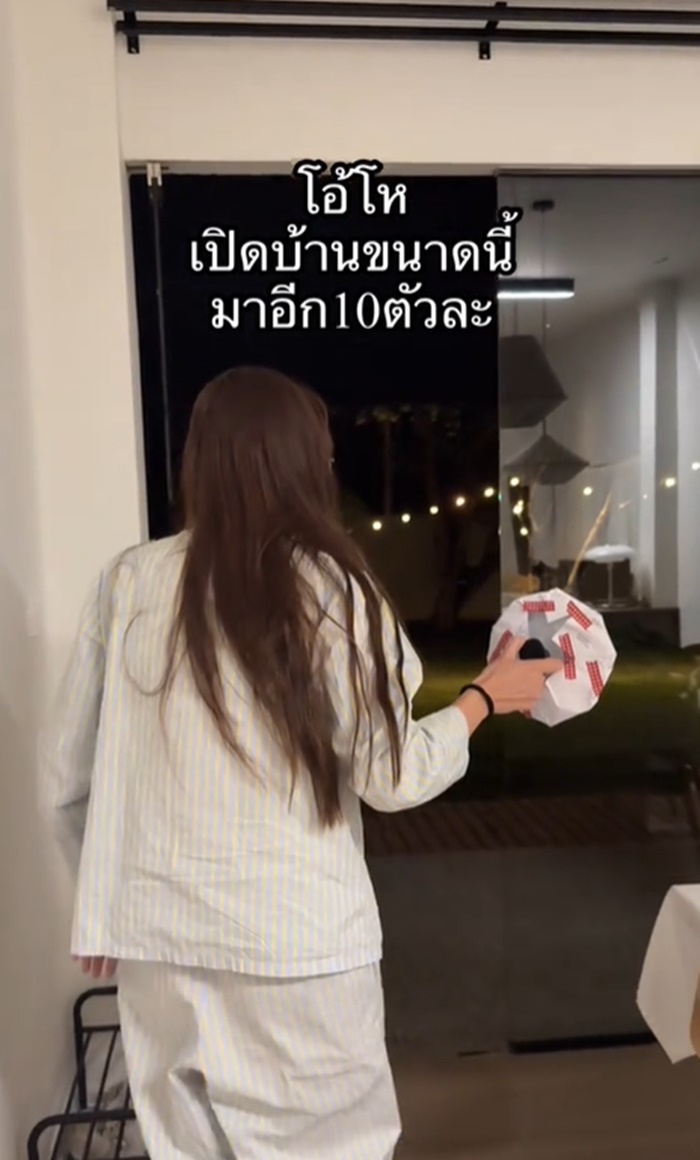 จิ้งจกเข้าบ้าน