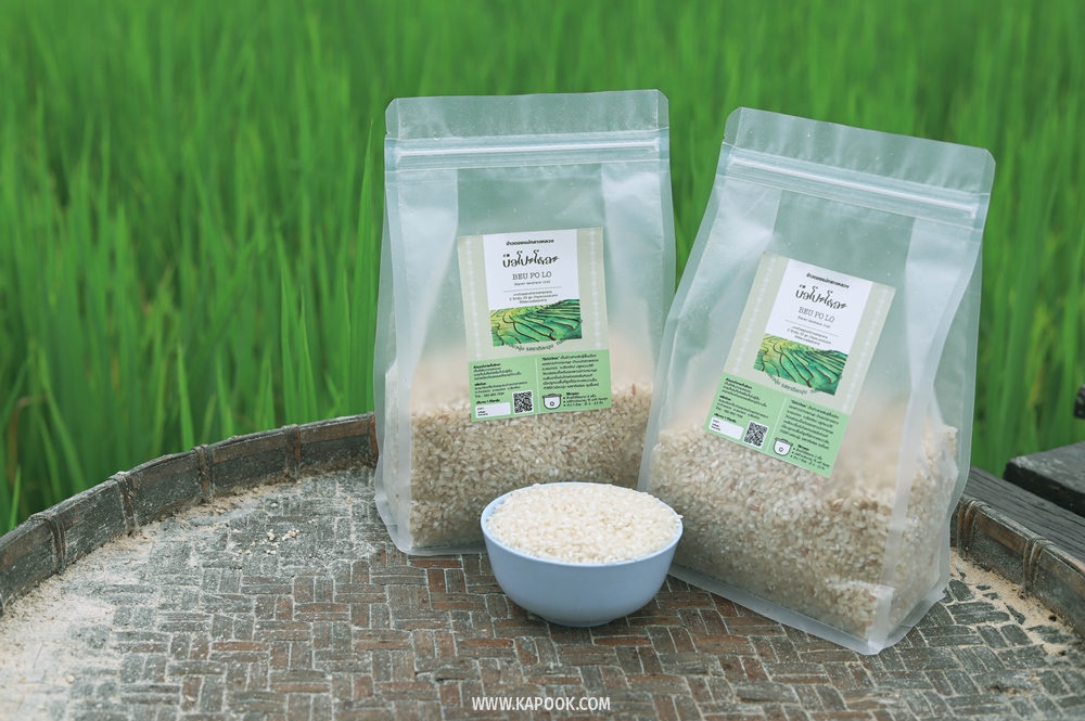 บ้านแม่กลางหลวง