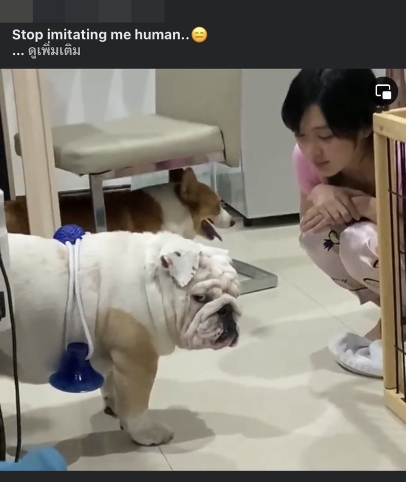 เบียร์ เดอะวอยซ์ แฟนเก่า