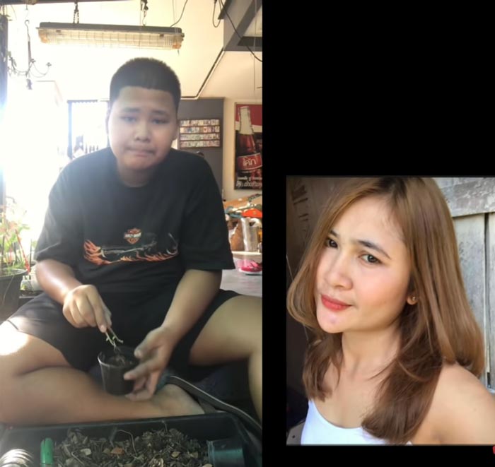 เฮอริเคน ชิงร้อย