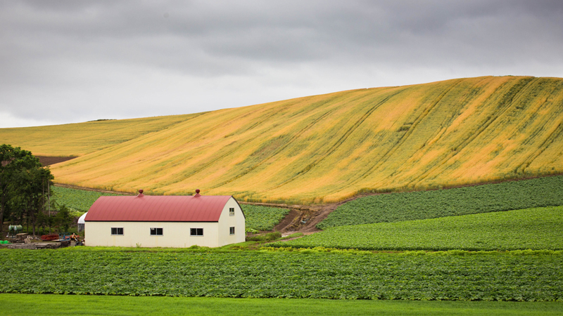 เมืองบิเอะ ที่เที่ยวฮอกไกโด 