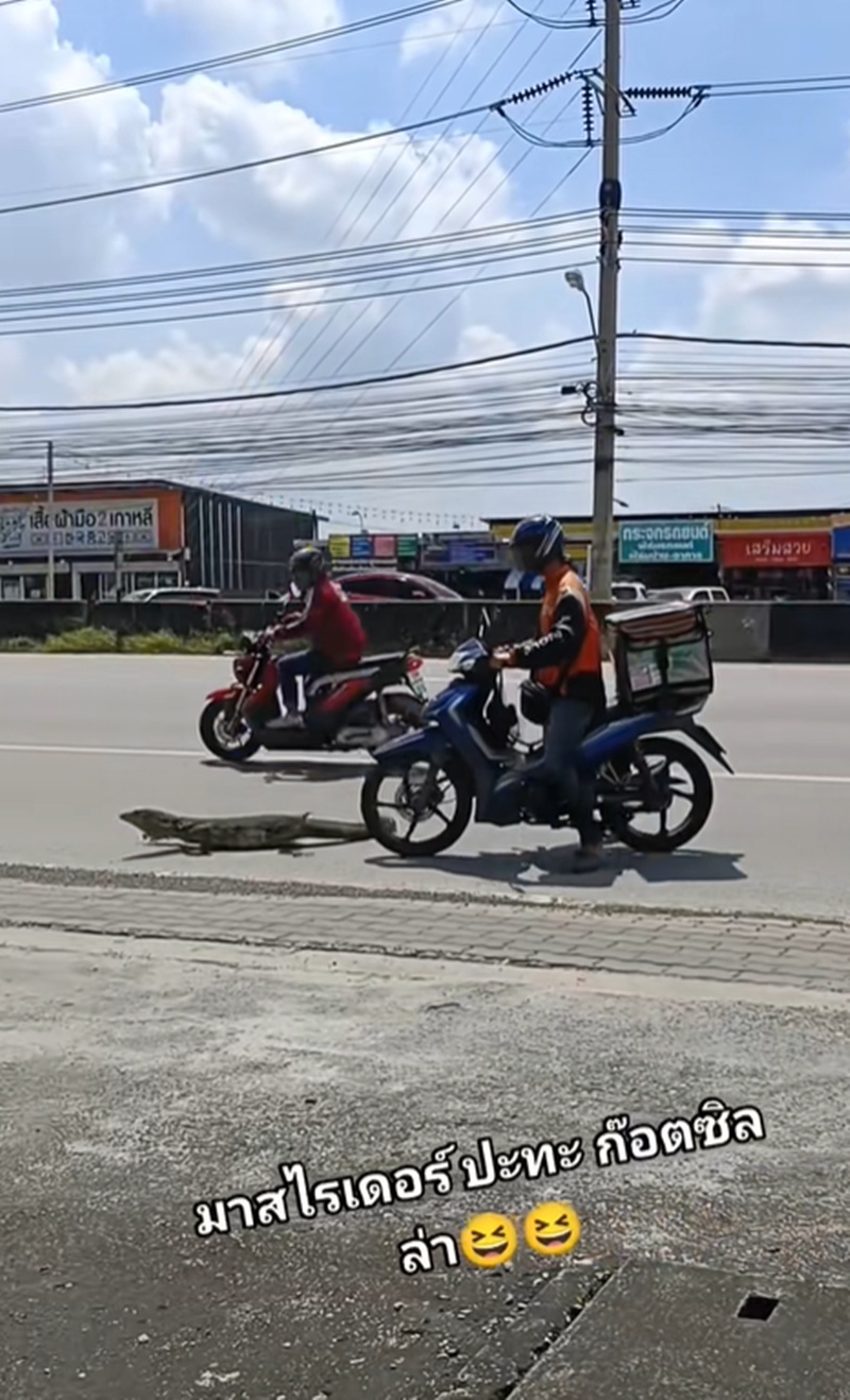 ตัวเงินตัวทอง