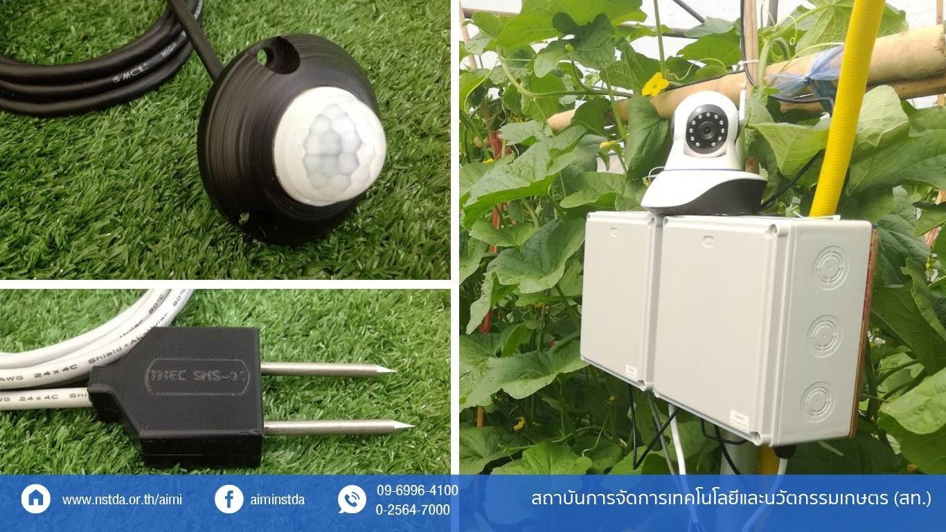 นวัตกรรมการเกษตร ปลูกพืชเมืองหนาว