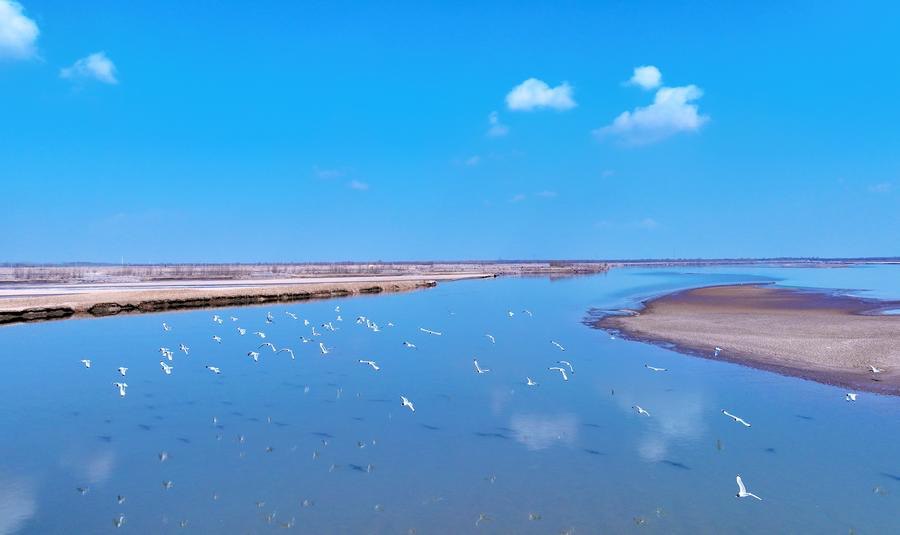 แม่น้ำเหลือง